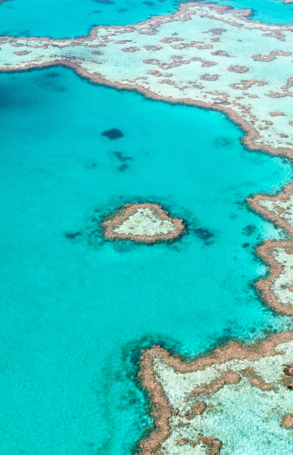 昆士兰州，大堡礁，心形礁 © 澳大利亚旅游局版权所有