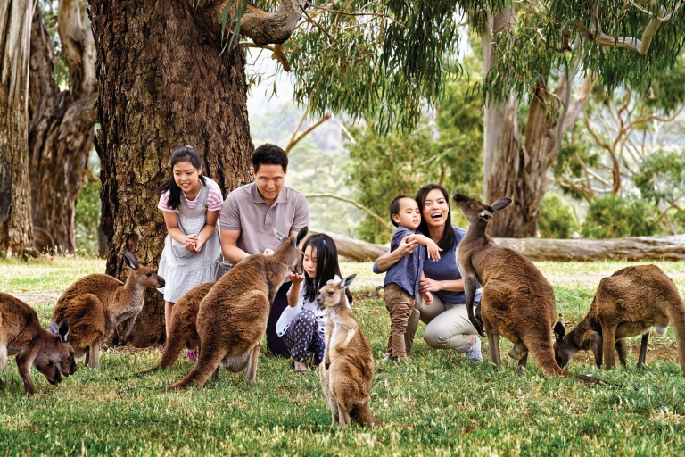 Cleland Wildlife Park, South Australia © South Australian Tourism Commission