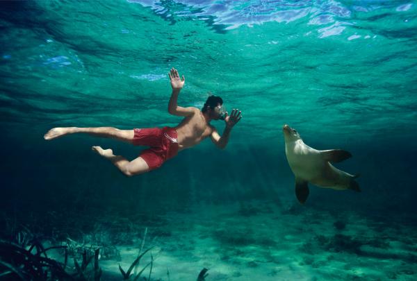 南澳大利亚州，艾尔半岛 © SATC 版权所有