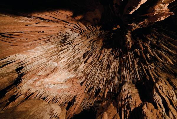 塔斯马尼亚州，茉莉溪克斯国家公园 © Chi Kueng Renault Wong 版权所有