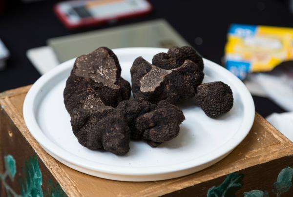 首都领地，松露节 © VisitCanberra  版权所有