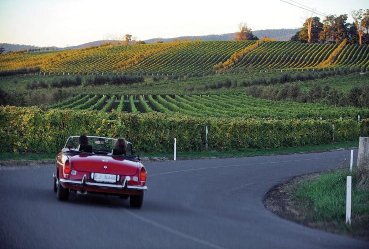 汽车沿着塔玛谷葡萄酒之路行驶 © 塔斯马尼亚旅游局/塔玛谷葡萄酒之路版权所有