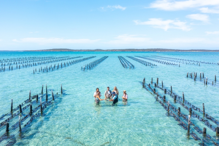 南澳大利亚州,艾尔半岛,Experience Coffin Bay 旅行社 © 澳大利亚旅游局版权所有 南澳大利亚州,艾尔半岛,Experience Coffin Bay 旅行社 © 澳大利亚旅游局版权所有