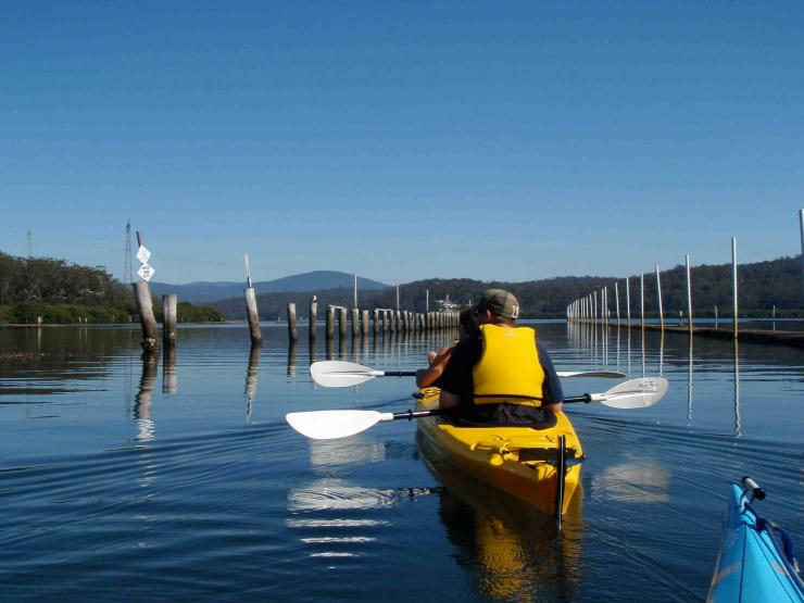 新南威尔士州，贝特曼海湾，品尝生蚝的皮划艇之旅 © Region X 版权所有