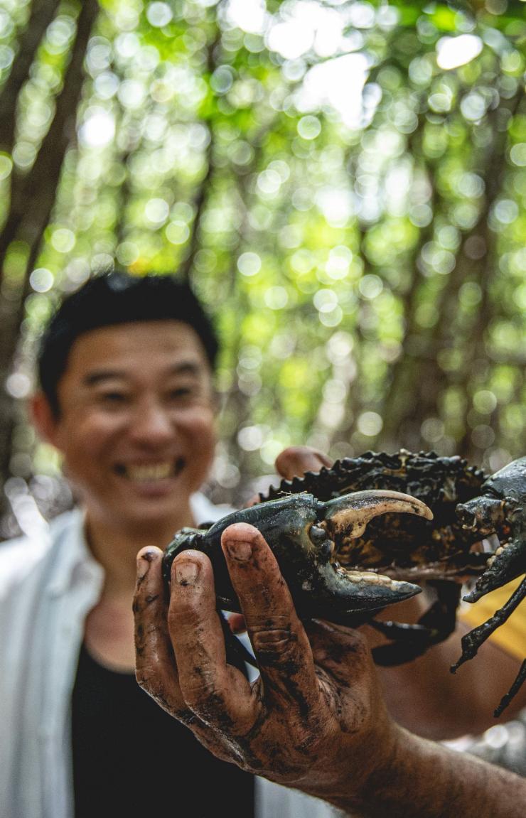 昆士兰州，戴恩树热带雨林，文化徒步探险之旅，一位原住民导游举着一只泥蟹，身后一名游客喜笑颜开 © 昆士兰州旅游及活动推广局版权所有