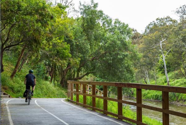 自行车手在墨尔本的阿伯兹福德修道院附近的小径上骑行 © Roberto Seba 版权所有