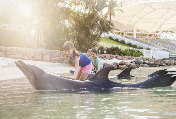 在昆士兰州黄金海岸的海洋世界与海豚互动的儿童 © 海洋世界版权所有
