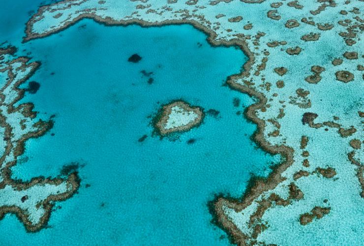 昆士兰州，圣灵群岛，心形礁 © 昆士兰州旅游及活动推广局版权所有