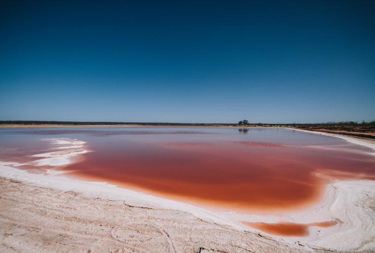 维多利亚州，米尔迪拉，墨累河（Murray River）盐湖 © Roberto Seba 版权所有