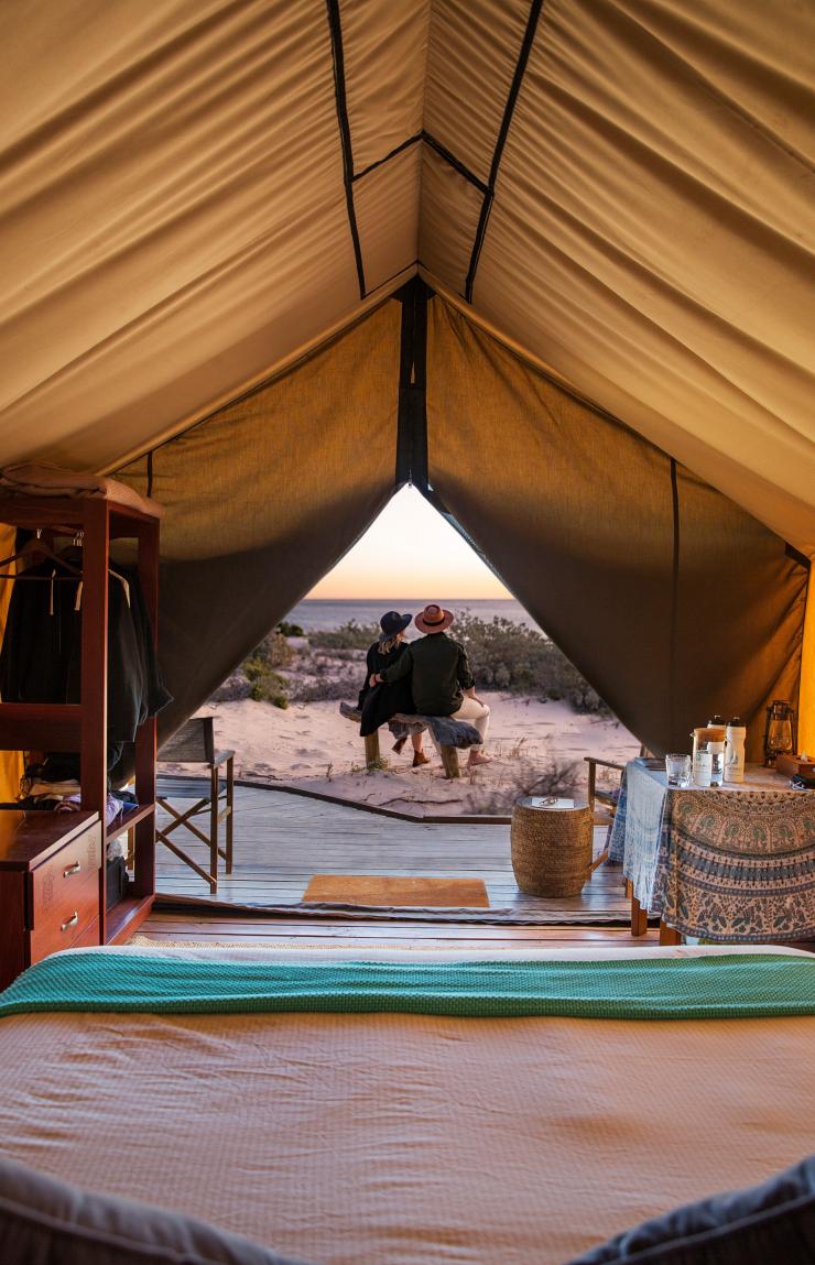 西澳大利亚州，宁加洛珊瑚礁，萨尔萨利斯营地 © 宁加洛珊瑚礁萨尔萨利斯营地版权所有