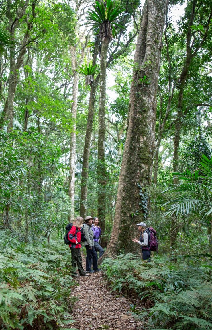 昆士兰州，美景环区，斯派塞美景环区小径 © 斯帕瑟度假村版权所有