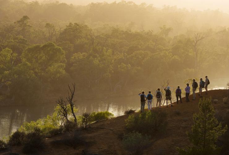 南澳大利亚州，墨累河，墨累河徒步之旅 © 澳大利亚旅游局版权所有