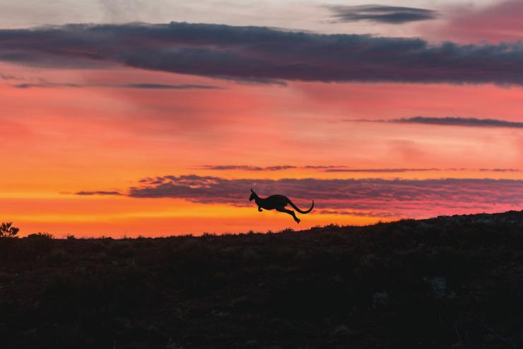 南澳大利亚州，弗林德斯山脉国家公园，阿卡巴 © 南澳大利亚旅游局版权所有