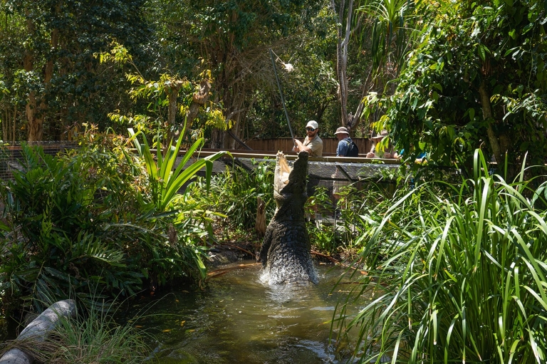哈特利鳄鱼探险公园，鳄鱼跳出水面捕食 © 澳大利亚旅游局版权所有