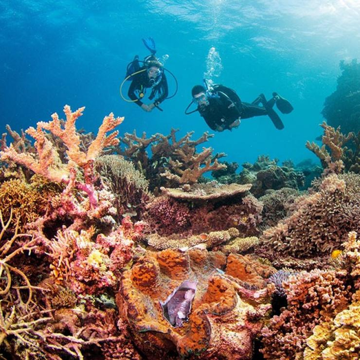 在昆士兰州大堡礁的 Clam Gardens，两名潜水员正在珊瑚礁旁游泳 © 昆士兰州旅游及活动推广局版权所有
