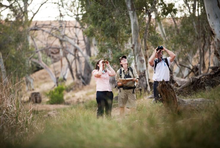 南澳大利亚州弗林德斯山脉，使用双筒望远镜观察的丛林徒步旅行者 © Wild Bush Luxury 版权所有
