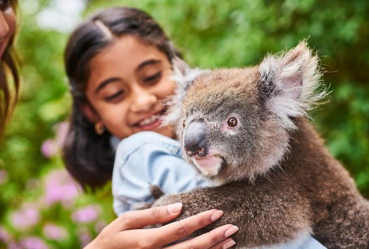 南澳大利亚州，袋鼠岛，袋鼠岛野生动物公园 © 南澳大利亚旅游局版权所有