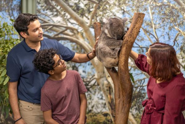 新南威尔士州，杜恩湖畔，翎羽谷野生动物园 © 新南威尔士州旅游局版权所有