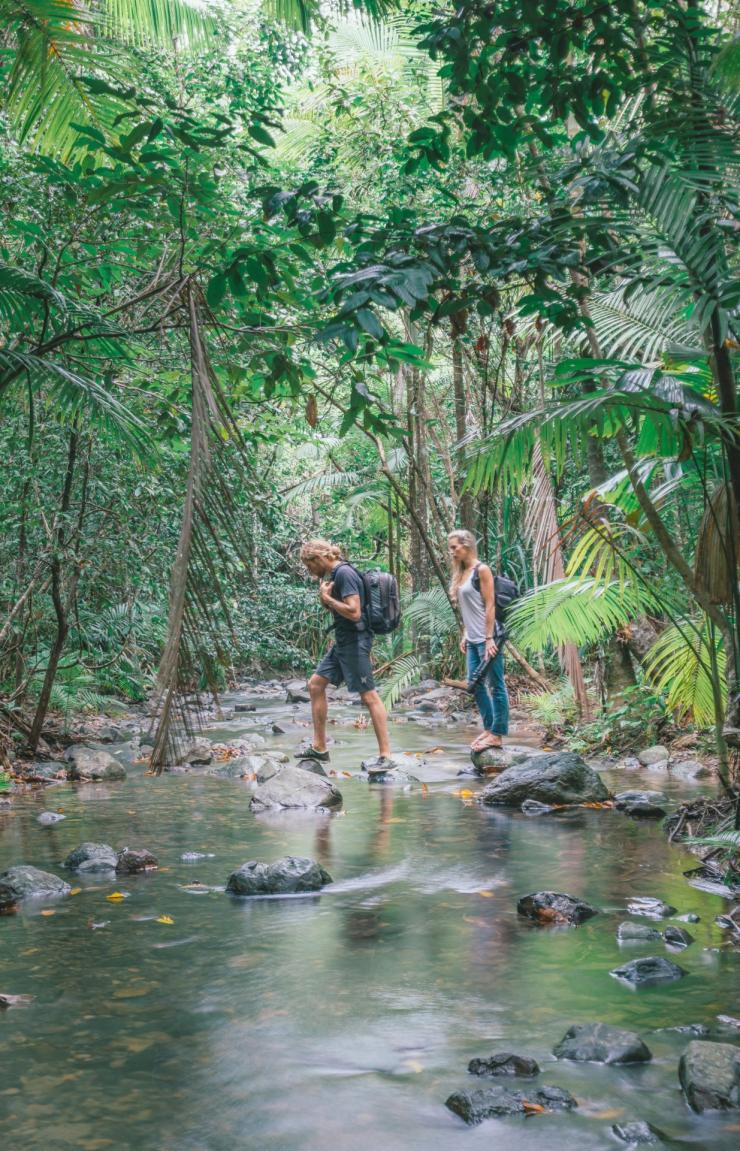  年轻夫妇徒步穿越戴恩树热带雨林（Daintree rainforest）© 热带北昆士兰旅游局版权所有