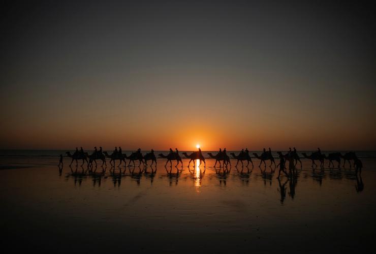 Camel Train walks along Cable Beach in Broome at sunset © Tourism Australia
