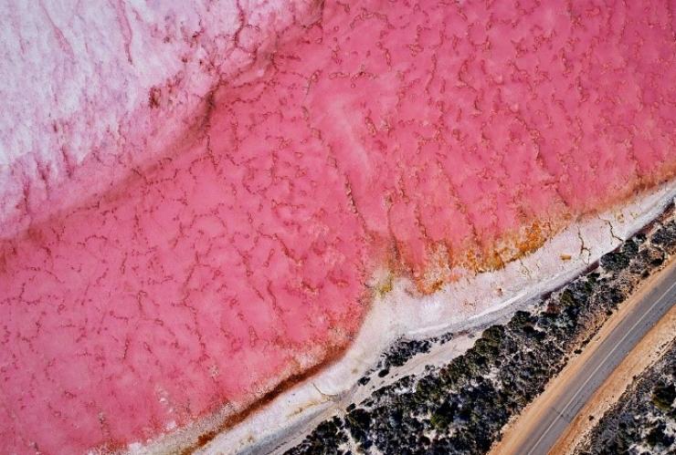 鸟瞰卡尔巴里的粉红湖泊赫特潟湖 © 西澳大利亚州旅游局版权所有