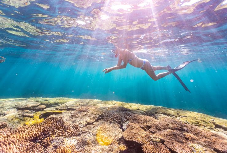 在珊瑚湾五彩斑斓的宁加洛珊瑚礁上方漂浮的浮潜者 © 西澳大利亚州旅游局版权所有