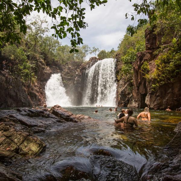 游泳者在北领地李治菲特国家公园中的佛罗伦斯瀑布戏水 © 澳大利亚旅游局版权所有