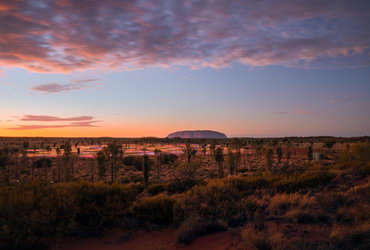 北领地，红土中心，乌鲁鲁 © 澳大利亚旅游局版权所有