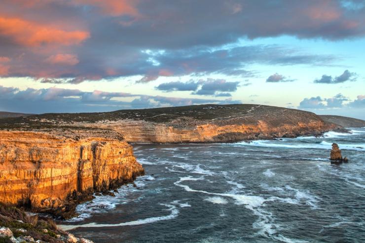 南澳大利亚，艾尔半岛，出发去游猎之旅 © Fran Solly 版权所有