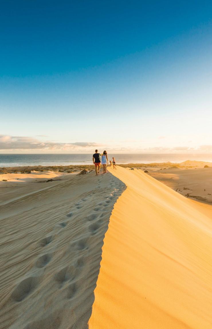  南澳大利亚州，柯芬湾国家公园，Gunyah 海滩沙丘 © Robert Blackburn 版权所有