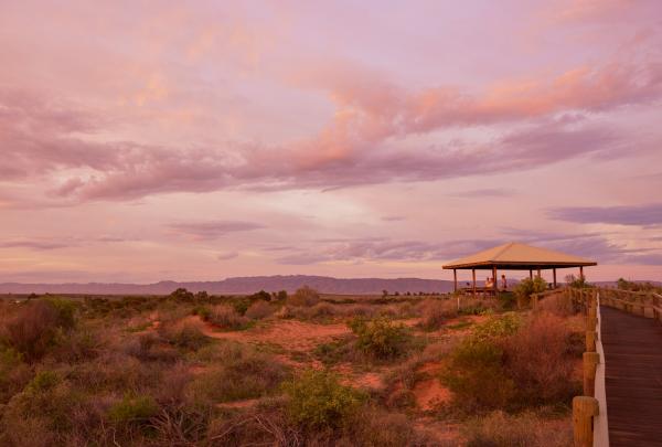 南澳大利亚州，安格斯达港，旱地国家公园 © 南澳大利亚旅游局版权所有