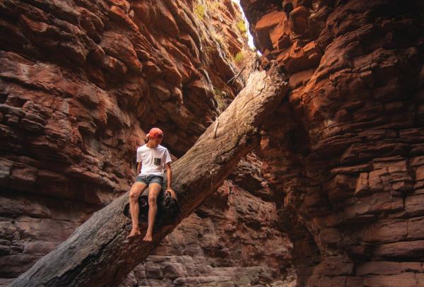 南澳大利亚州，弗林德斯山脉，鳄鱼峡谷 © Mitchell Toft 版权所有