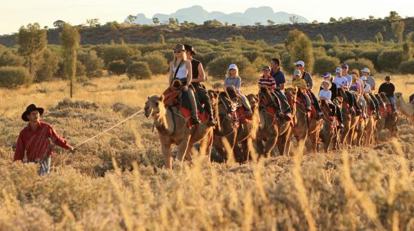 北领地，乌鲁鲁卡塔丘塔国家公园，乌鲁鲁骆驼之旅 © Uluru Photography 版权所有