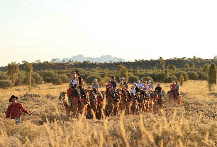 北领地，乌鲁鲁卡塔丘塔国家公园，乌鲁鲁骆驼之旅 © Uluru Photography 版权所有