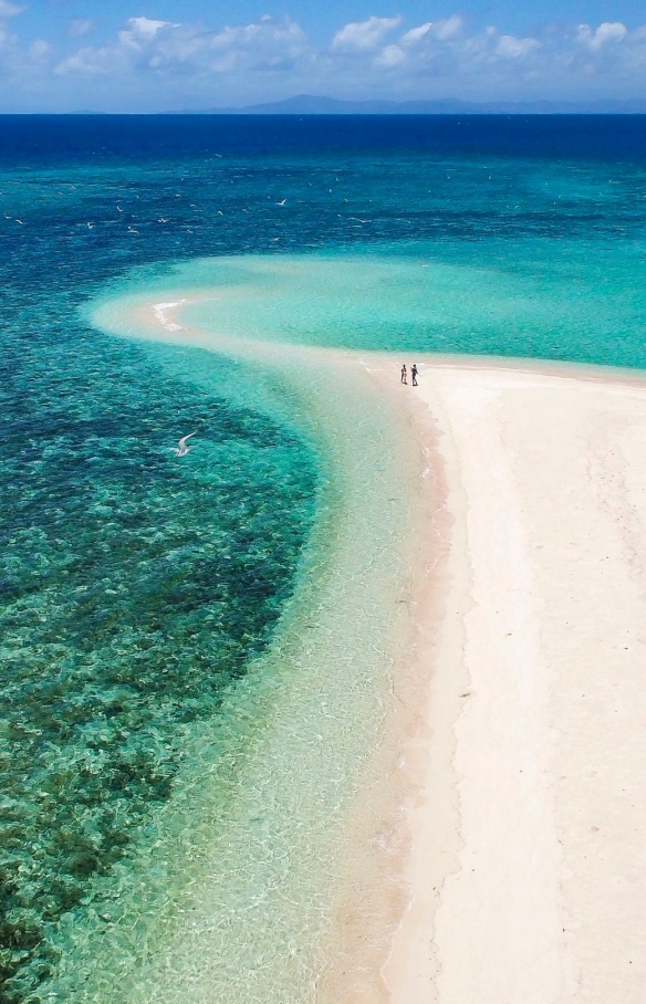 昆士兰州，麦基湾，Sailaway © Sailaway Cape Tribulation 版权所有