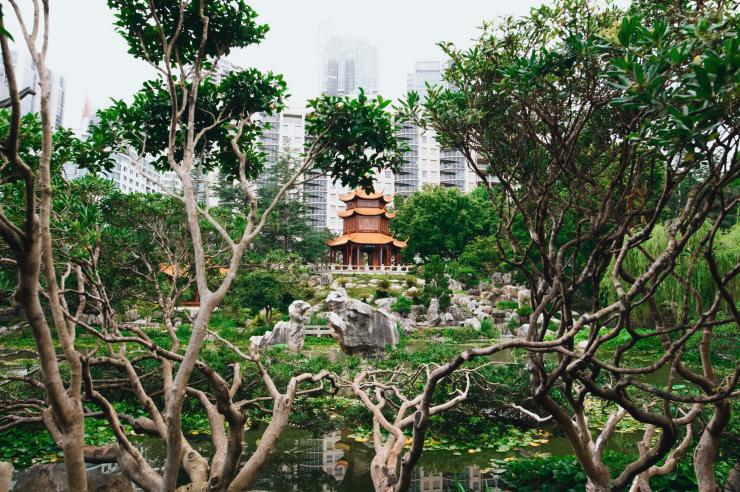 新南威尔士州，悉尼，中国友谊花园宁静且风景优美的园林 © 新南威尔士州旅游局版权所有