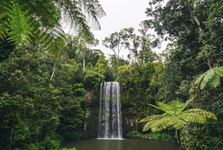昆士兰州，米拉米拉，米拉米拉瀑布 © Scott Pass 版权所有