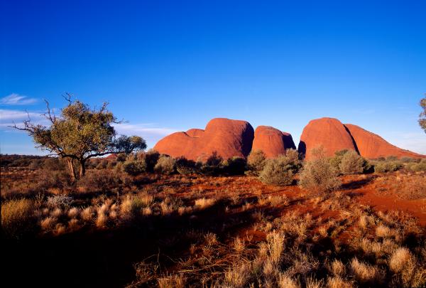 北领地，红土中心，卡塔丘塔 © 澳大利亚旅游局