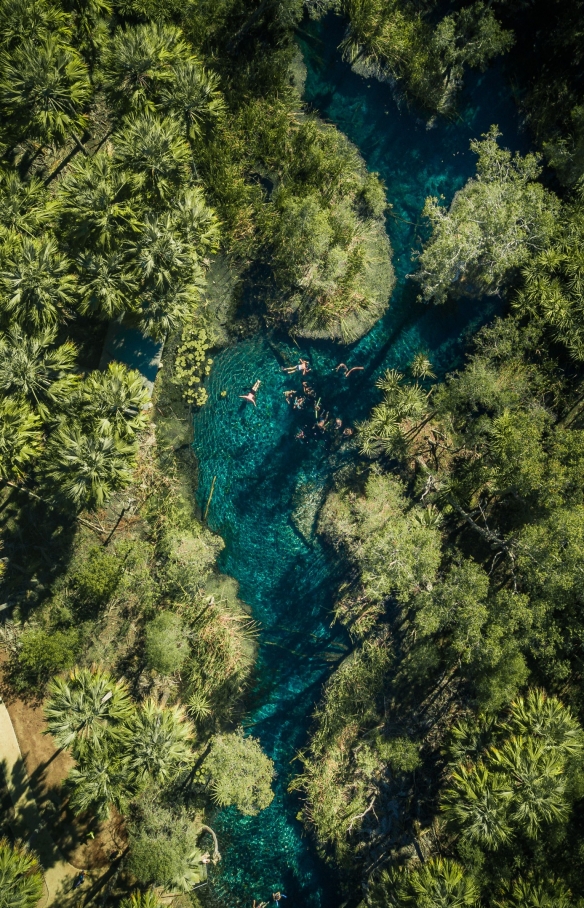 北领地，马塔兰卡，俯瞰一群人在苦泉波光粼粼的碧水中游泳，旁边是棕榈树树冠 © 北领地旅游局/Jason Charles Hill 版权所有