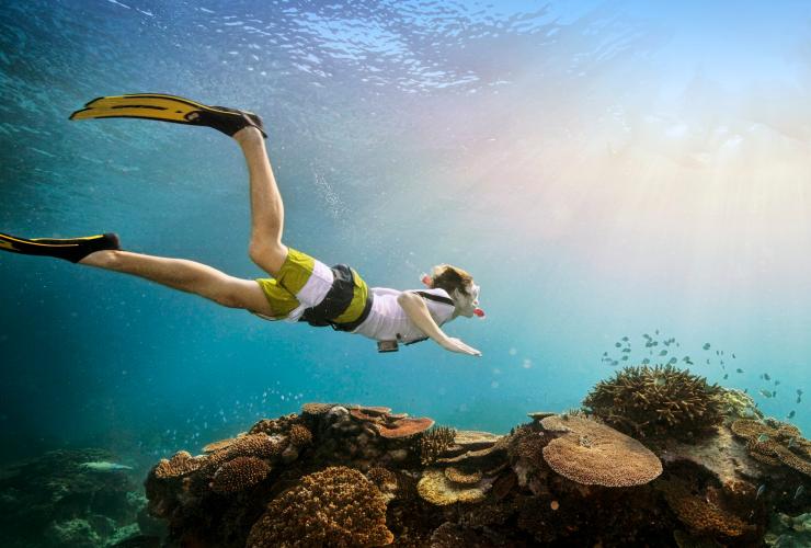 一个男人佩戴着浮潜装备和脚蹼在珊瑚礁上方游泳 © Darren Jew 版权所有
