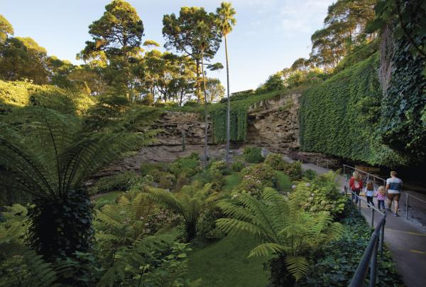南澳大利亚州，石灰岩海岸，甘比尔山，洞穴花园 © 南澳大利亚旅游局，Adam Bruzzone 版权所有