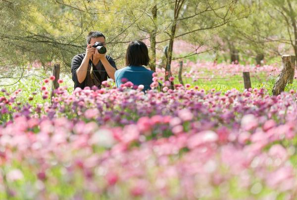 西澳大利亚州，珀斯，国王公园植物园 © 植物园和公园管理局版权所有