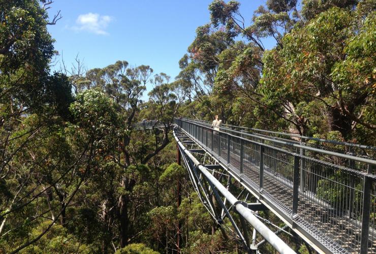西澳大利亚州，沃尔波尔-诺纳拉普国家公园，巨人谷树顶步道 © 澳大利亚旅游局版权所有