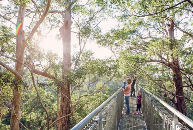 西澳大利亚州，诺纳拉普，巨人谷树顶步道© 国家公园和野生动物服务所（WA Parks and Wildlife）版权所有