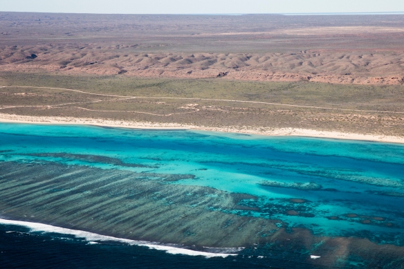 西澳大利亚州，宁加洛珊瑚礁 © 西澳大利亚州旅游局版权所有