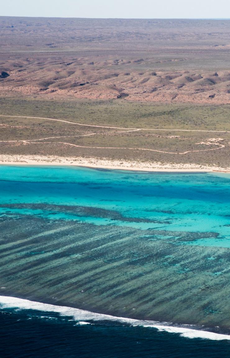 西澳大利亚州，宁加洛珊瑚礁 © 西澳大利亚州旅游局版权所有