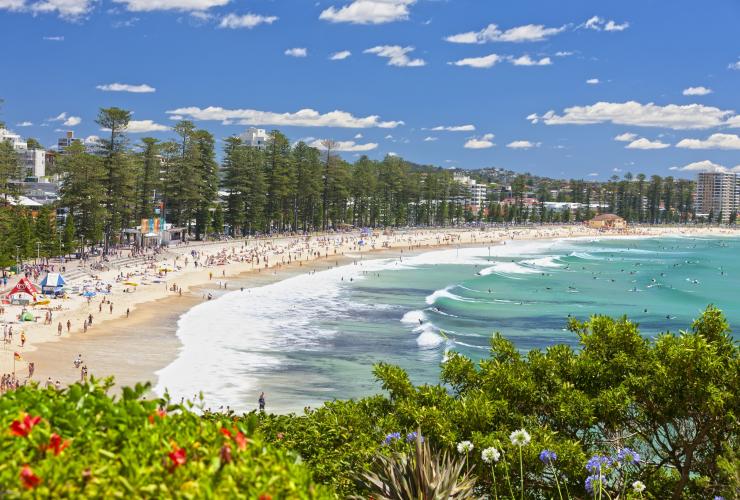 新南威尔士州，悉尼，曼利海滩 © 新南威尔士州旅游局 Keith McInnes 版权所有