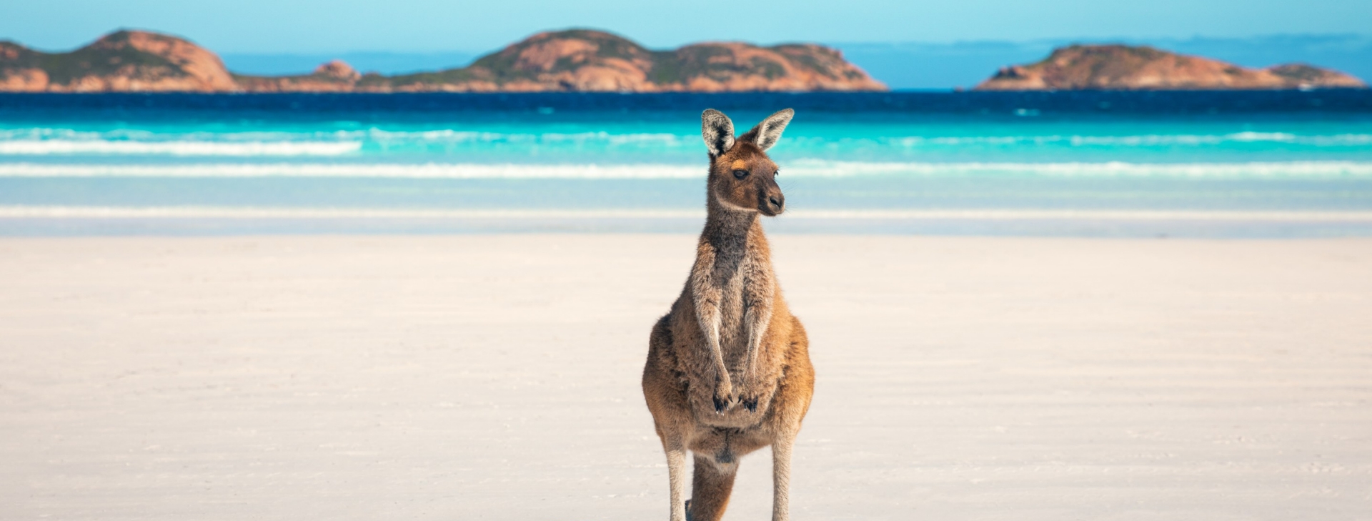 悉尼七十二小时精彩之旅 - 澳大利亚旅游局