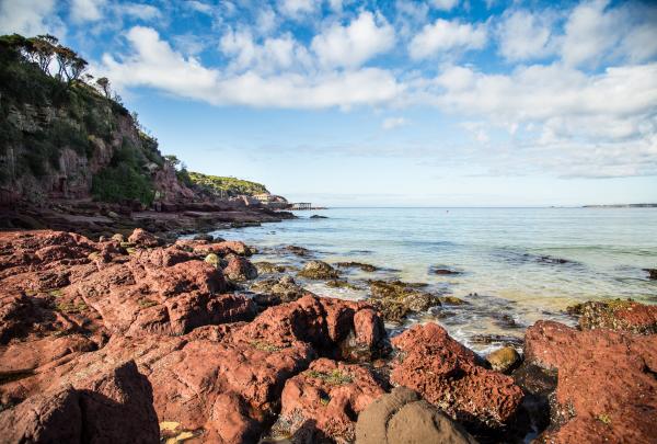 新南威尔士州，梅里布拉，梅里布拉酒吧海滩 © 新南威尔士州旅游局版权所有