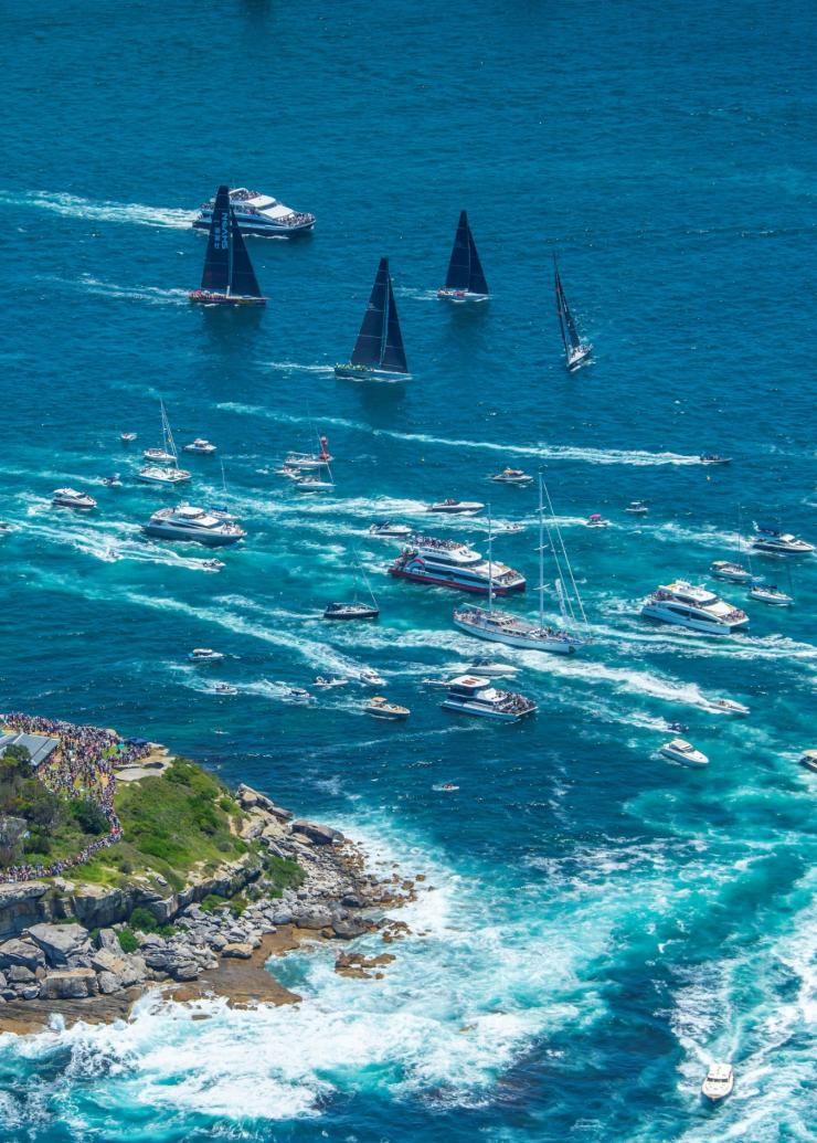 新南威尔士州，悉尼，悉尼至霍巴特帆船赛 © 新南威尔士州旅游局版权所有
